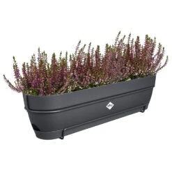 Elho Vibia Campana Balkonbak Allin1 70 Cm Zwart -Groen Thuis Winkel elho vibia campana balkonbak allin1 70 cm zwart 1000x1000 64aebaf97023f l