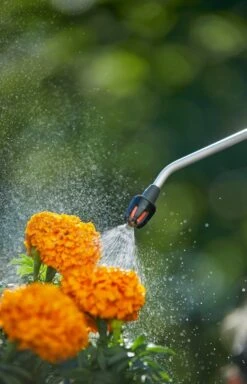 GARDENA Drukspuit 5 L -Groen Thuis Winkel gardena drukspuit 5 l 1619704865 1 l