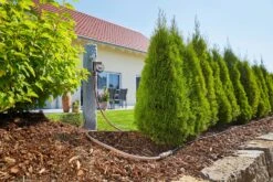 GARDENA Micro-Drip-System Startset M 25m Autom. Rijplanten 6 GARDENA Micro-Drip-System Startset M 25m Autom. Rijplanten -Groen Thuis Winkel gardena startset m 25m autom 1500x1000 640af4f6bb51a l