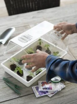 Nature Deksel Voor Kweekbak 55x31cm -Groen Thuis Winkel nature deksel voor kweekbak 55x31cm 595x800 6214a0230c942 l