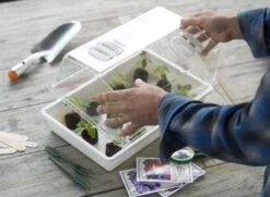 Nature Deksel Voor Kweekbak 55x31cm -Groen Thuis Winkel nature deksel voor kweekbak 55x31cm 800x587 6214a0233f631 l