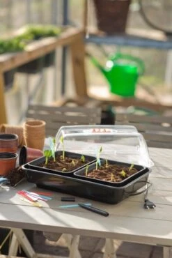 Nature Kweekkas Verwarmd 38x24cm -Groen Thuis Winkel nature kweekkas verwarmd 38x24cm 534x800 6214a026e40ab l