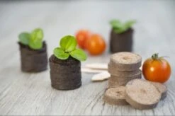 Nature Turftabletten 48st -Groen Thuis Winkel nature turftabletten 48st 800x532 6214a01453d91 l