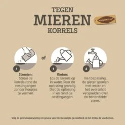 Pokon Tegen Mieren Korrels 400gr -Groen Thuis Winkel pokon tegen mieren korrels 400gr 1000x1000 6221fb528039b l