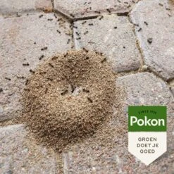Pokon Tegen Mieren Korrels 400gr -Groen Thuis Winkel pokon tegen mieren korrels 400gr 1000x1000 6221fb52c5ede l