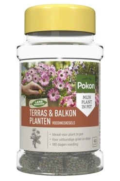 Pokon Terras & Balkon Planten Voedingskegels 40 Stuks