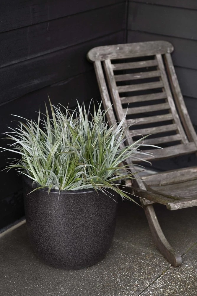 Pot Bol Zwart - Ø 63 X H 65 Cm 2 Pot Bol Zwart - Ø 63 X H 65 Cm - Afbeelding 2