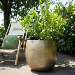 Pot Rowen Gold D31 H28 -Groen Thuis Winkel pot rowen gold d31 h28 1000x1000 6427f732b6e82 l