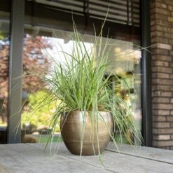 Pot Rowen Gold D33 H25 -Groen Thuis Winkel pot rowen gold d33 h25 1000x1000 6427f845ad192 l